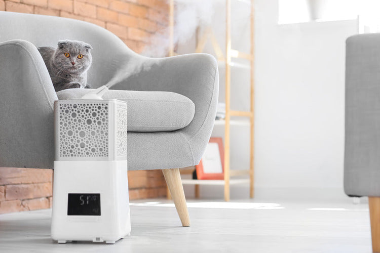 UMIDIFICATORE PER AMBIENTE
